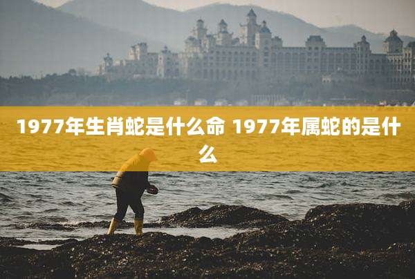 1977年生肖蛇是什么命 1977年属蛇的是什么
