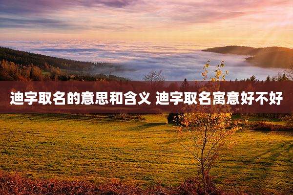 迪字取名的意思和含义 迪字取名寓意好不好