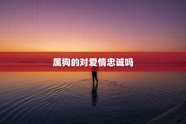 属狗的对爱情忠诚吗