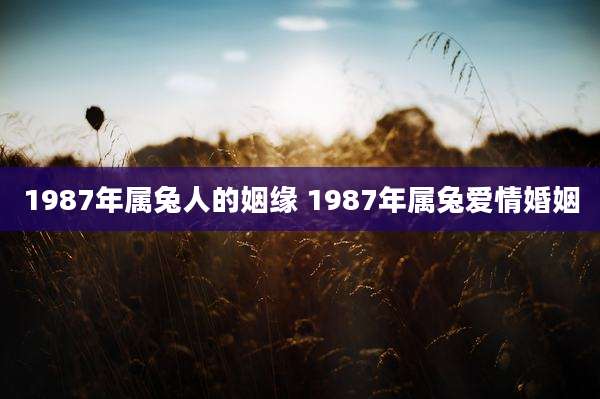1987年属兔人的姻缘 1987年属兔爱情婚姻