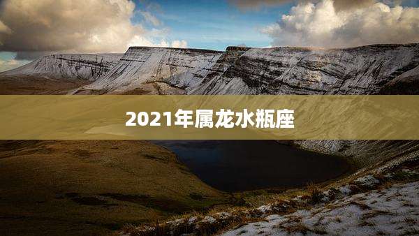 2021年属龙水瓶座