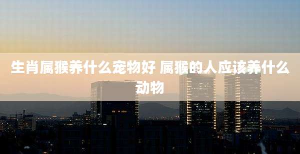 生肖属猴养什么宠物好 属猴的人应该养什么动物