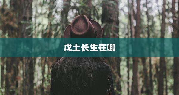 戊土长生在哪