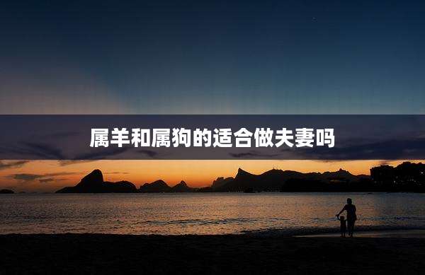 属羊和属狗的适合做夫妻吗