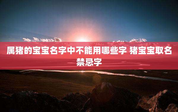 属猪的宝宝名字中不能用哪些字 猪宝宝取名禁忌字