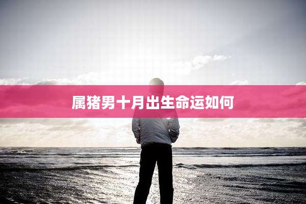 属猪男十月出生命运如何