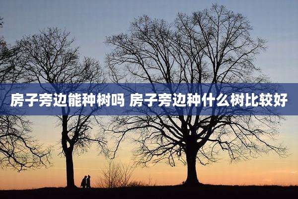 房子旁边能种树吗 房子旁边种什么树比较好