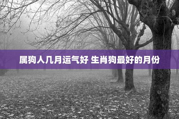 属狗人几月运气好 生肖狗最好的月份