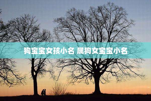 狗宝宝女孩小名 属狗女宝宝小名