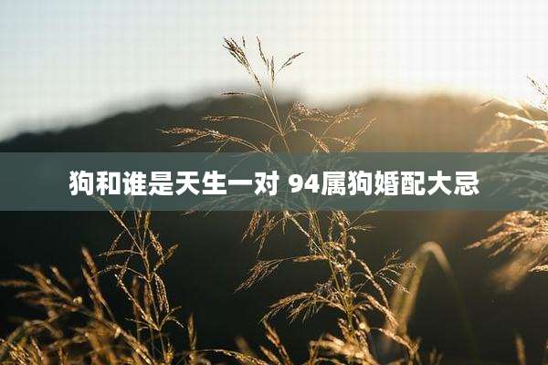 狗和谁是天生一对 94属狗婚配大忌