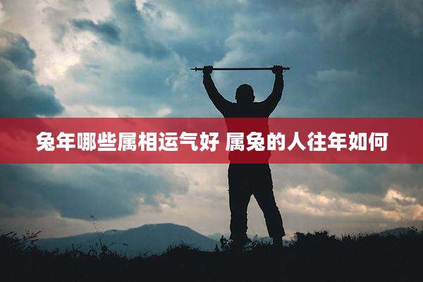 兔年哪些属相运气好 属兔的人往年如何
