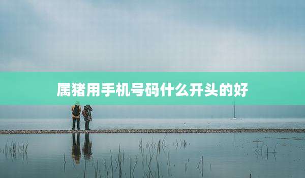 属猪用手机号码什么开头的好