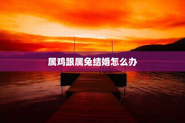 属鸡跟属兔结婚怎么办