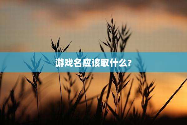 游戏名应该取什么?