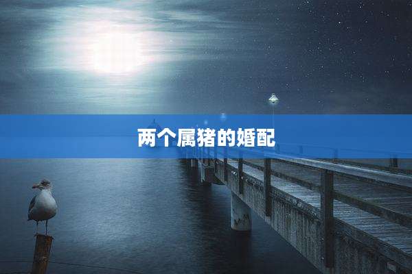 两个属猪的婚配