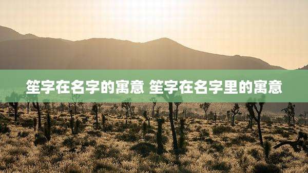 笙字在名字的寓意 笙字在名字里的寓意