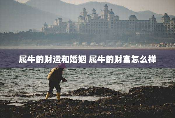 属牛的财运和婚姻 属牛的财富怎么样