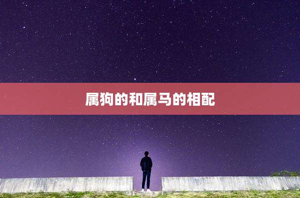 属狗的和属马的相配