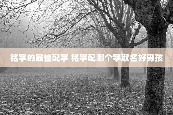 铭字的最佳配字 铭字配哪个字取名好男孩