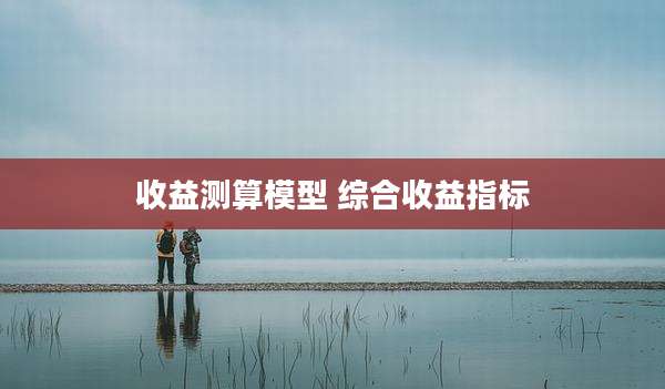 收益测算模型 综合收益指标