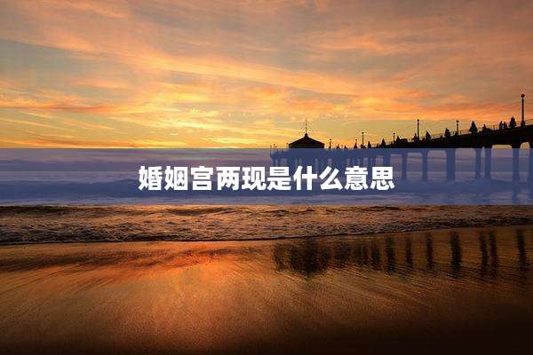 婚姻宫两现是什么意思