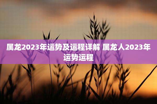 属龙2023年运势及运程详解 属龙人2023年运势运程