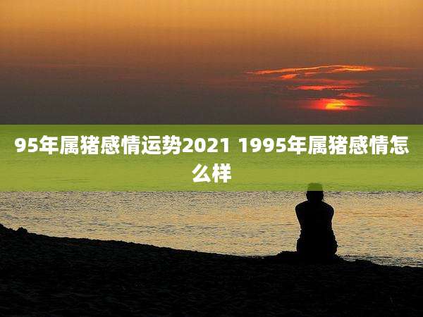 95年属猪感情运势2021 1995年属猪感情怎么样