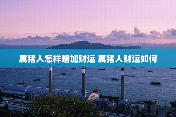 属猪人怎样增加财运 属猪人财运如何