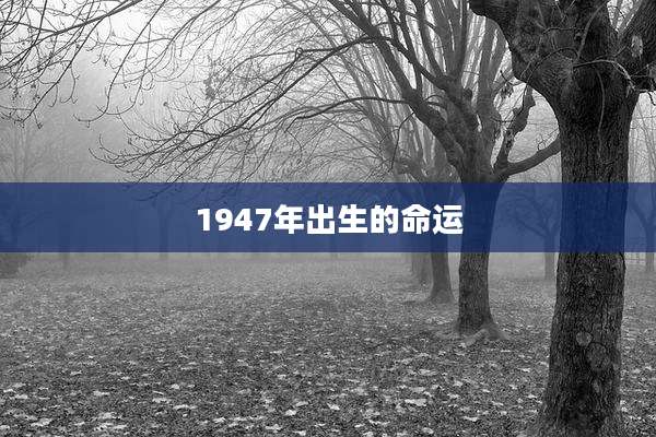 1947年出生的命运