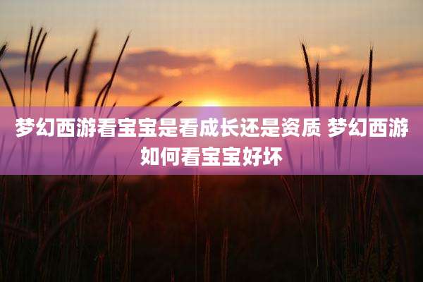 梦幻西游看宝宝是看成长还是资质 梦幻西游如何看宝宝好坏