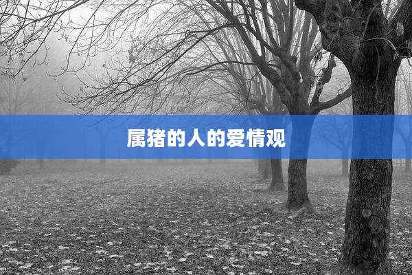 属猪的人的爱情观