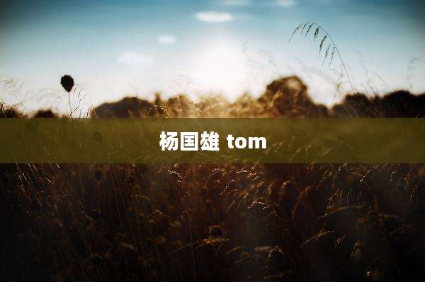 杨国雄 tom