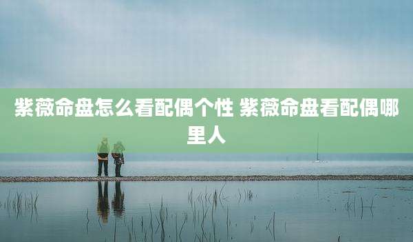 紫薇命盘怎么看配偶个性 紫薇命盘看配偶哪里人