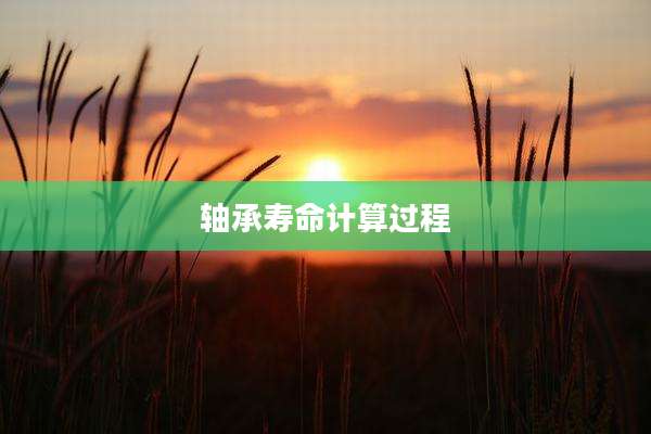 轴承寿命计算过程