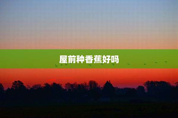 屋前种香蕉好吗