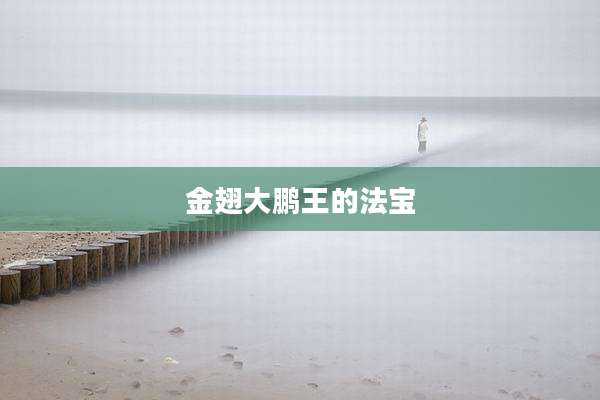 金翅大鹏王的法宝