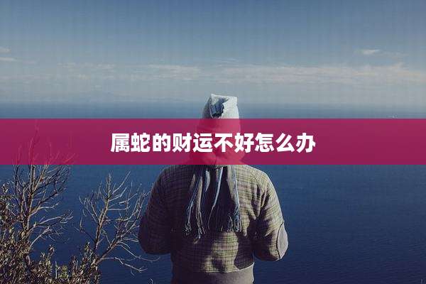 属蛇的财运不好怎么办