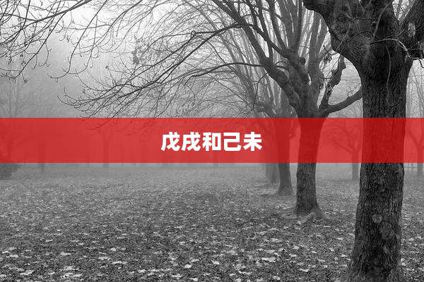 戊戌和己未