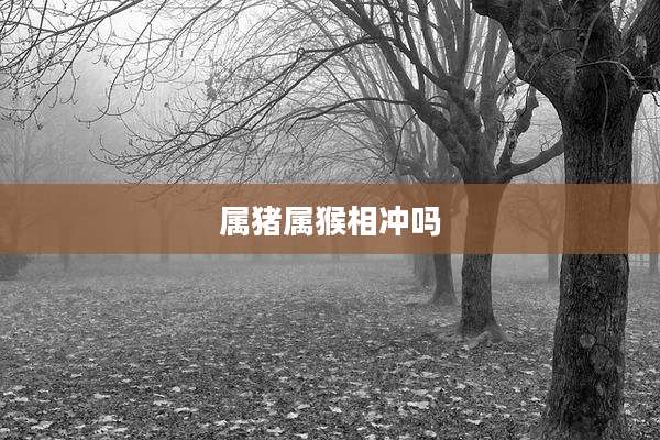 属猪属猴相冲吗