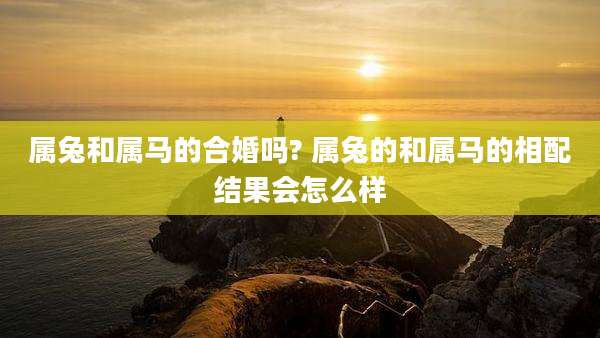 属兔和属马的合婚吗? 属兔的和属马的相配结果会怎么样