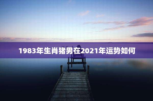 1983年生肖猪男在2021年运势如何