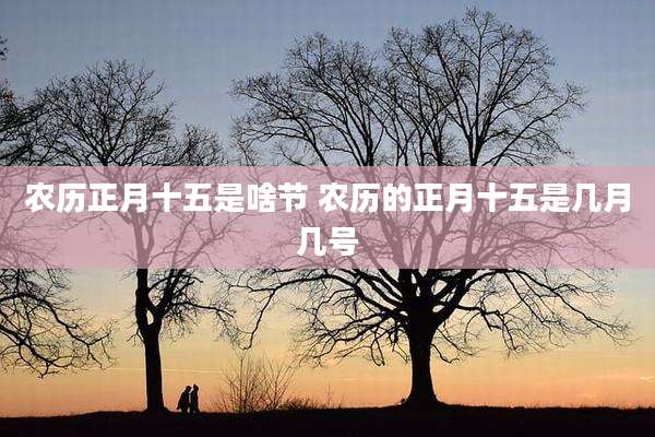 农历正月十五是啥节 农历的正月十五是几月几号
