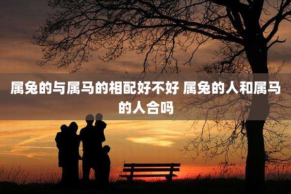 属兔的与属马的相配好不好 属兔的人和属马的人合吗