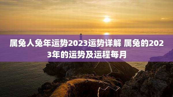 属兔人兔年运势2023运势详解 属兔的2023年的运势及运程每月