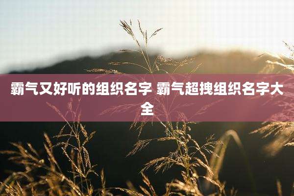 霸气又好听的组织名字 霸气超拽组织名字大全