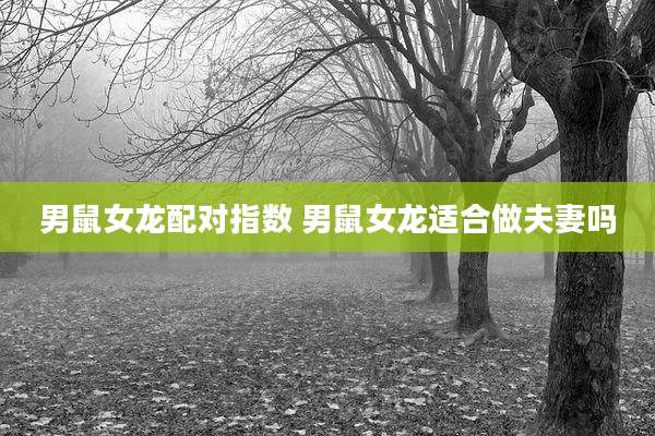 男鼠女龙配对指数 男鼠女龙适合做夫妻吗