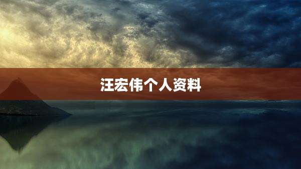 汪宏伟个人资料