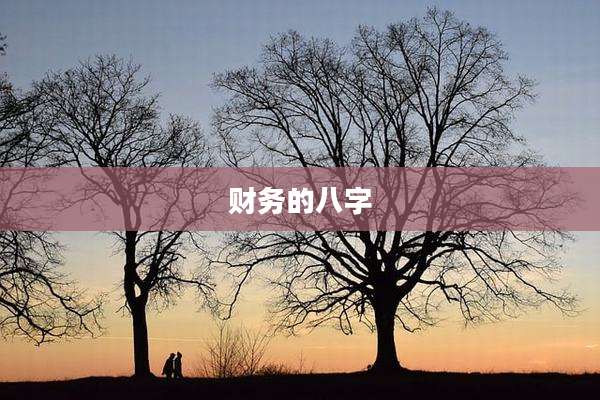 财务的八字