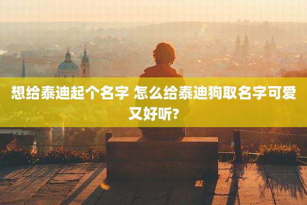 想给泰迪起个名字 怎么给泰迪狗取名字可爱又好听?