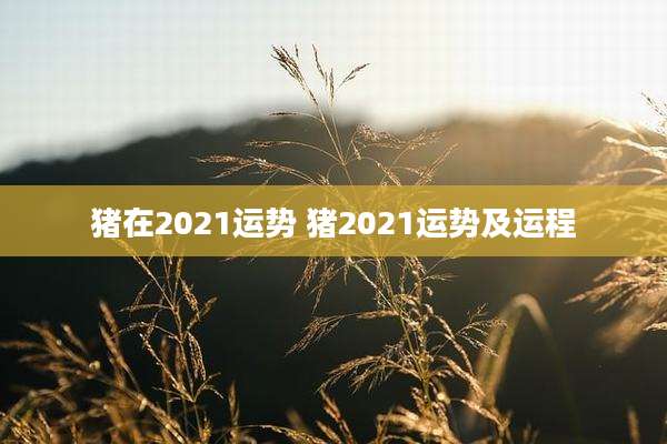 猪在2021运势 猪2021运势及运程